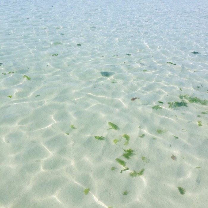 image_678875231469339551322.jpg
