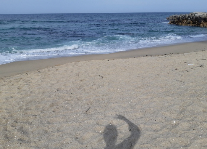 크기변환_20180619_111748.jpg