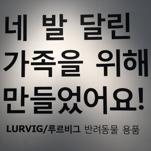 네발.jpg
