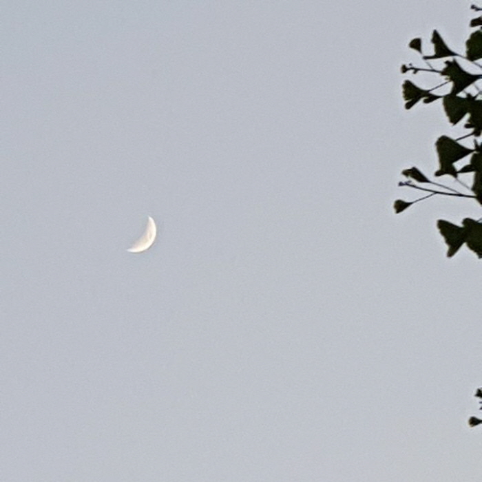 꾸미기_852119737_155069.jpg