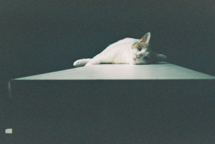 꾸미기_000018.JPG