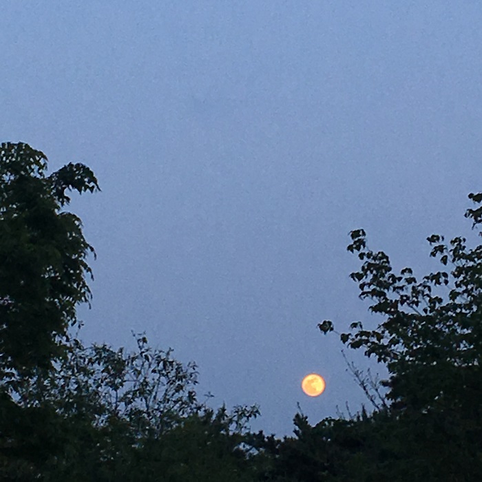 KakaoTalk_20180717_170315778.jpg
