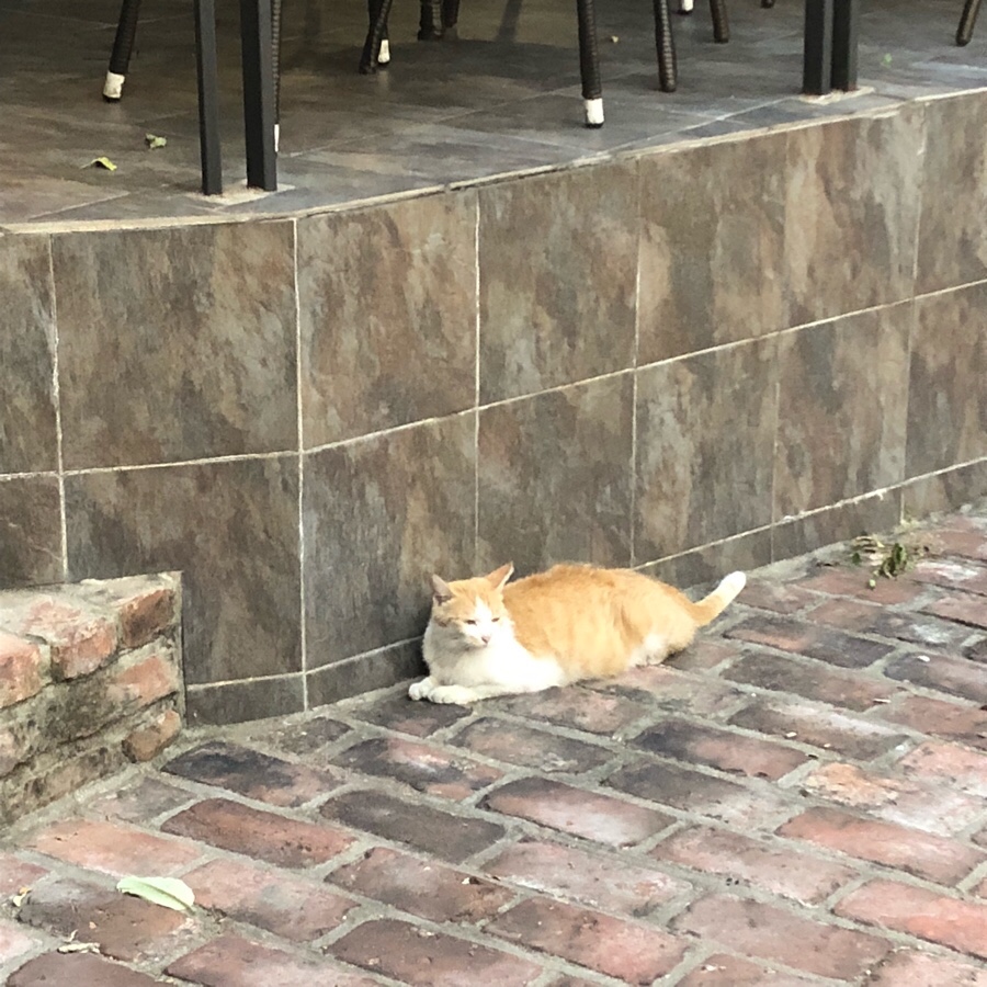 NaverBlog_20180802_141202_05.jpg