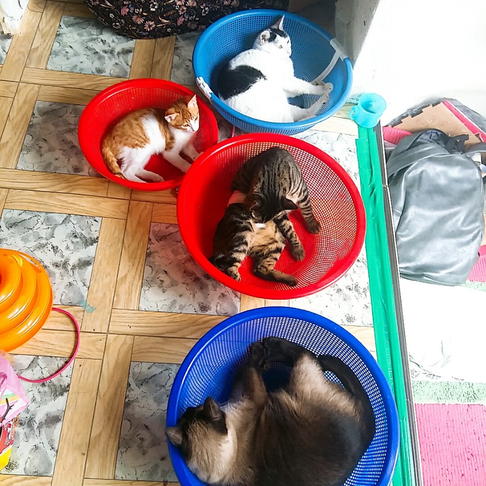 KakaoTalk_20180830_155258174.jpg