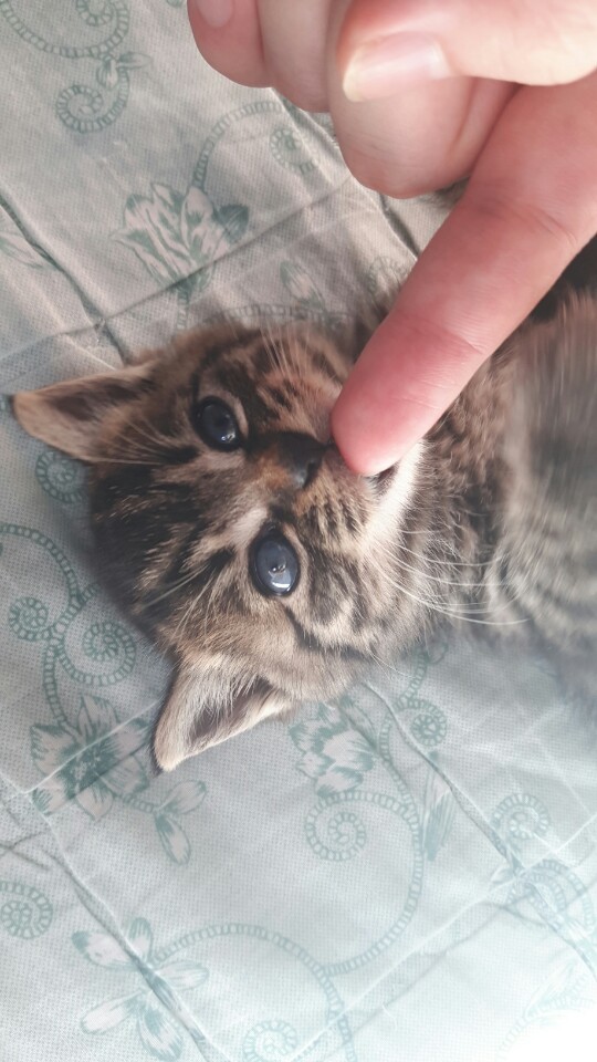 KakaoTalk_20180830_155259818.jpg