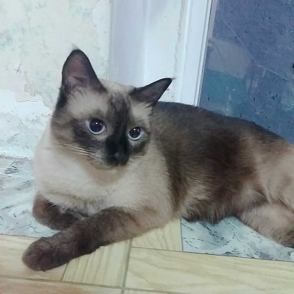 KakaoTalk_20180830_160441508.jpg