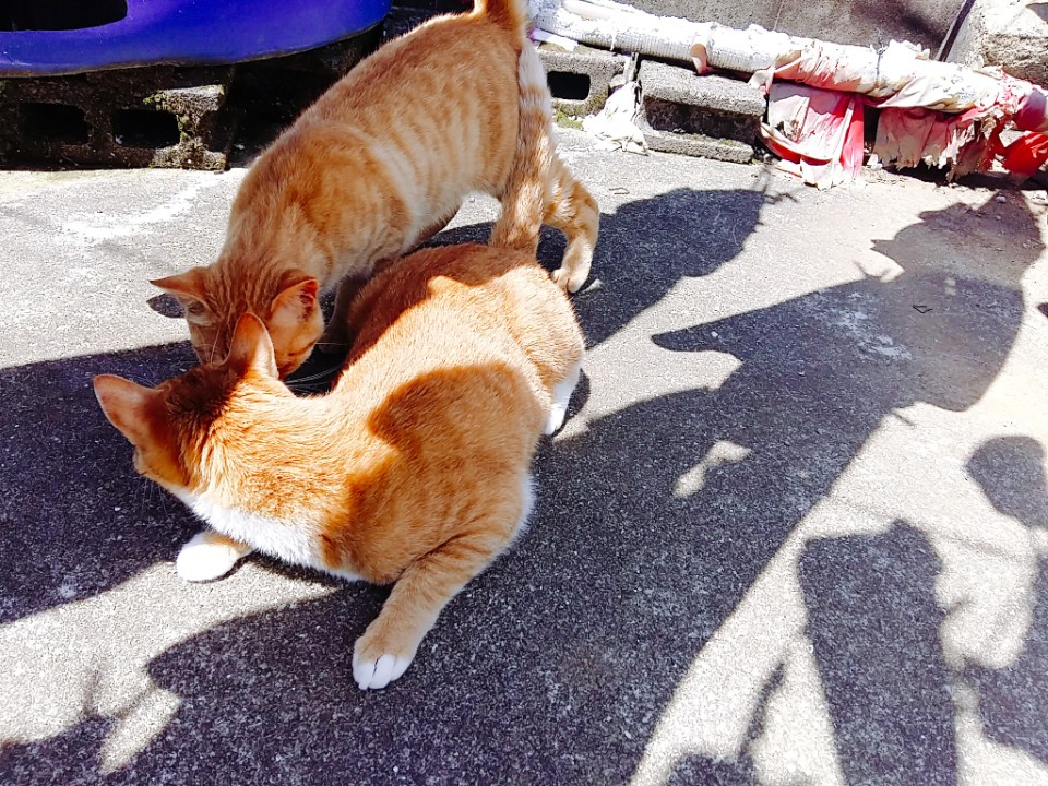 KakaoTalk_20180830_155301323.jpg