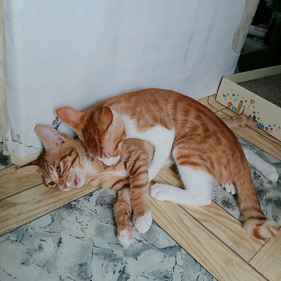 KakaoTalk_20180830_163022388.jpg