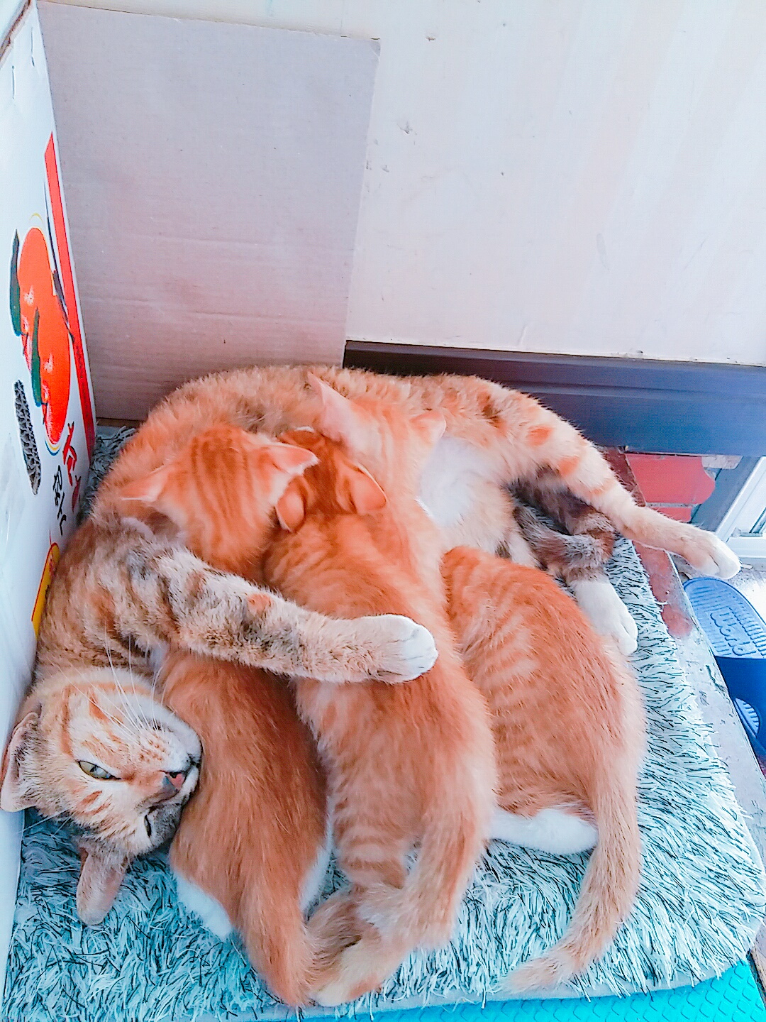 KakaoTalk_20180826_055959749.jpg
