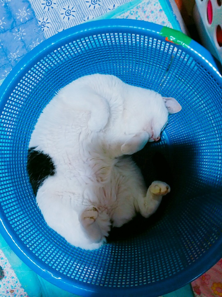 KakaoTalk_20180830_155258864.jpg
