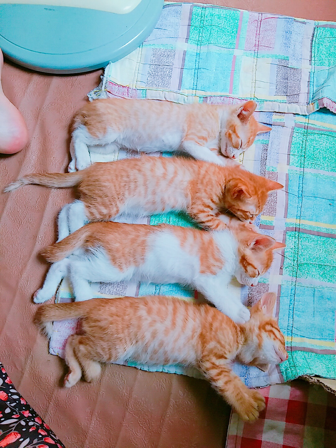 KakaoTalk_20180826_060000011.jpg