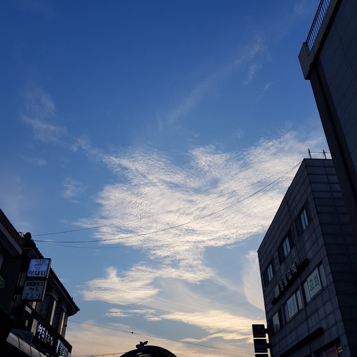 거북시장.jpg