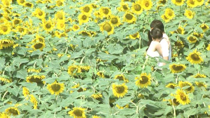 일괄편집_noname01.jpg