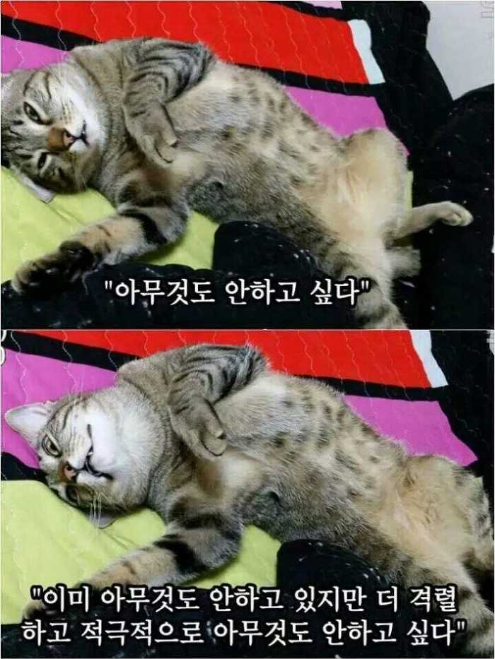 크기변환_귀차니즘.jpg
