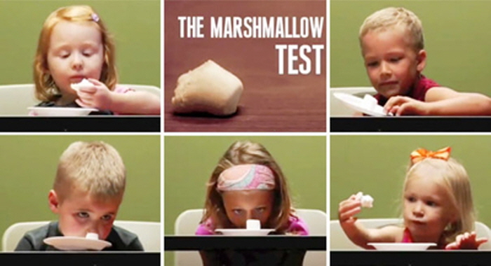 크기변환_marshmellow-test-604-cs050713.jpg