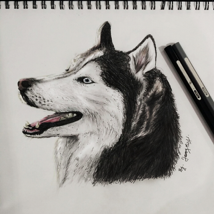[크기변환1]dog_민정은(1).jpg