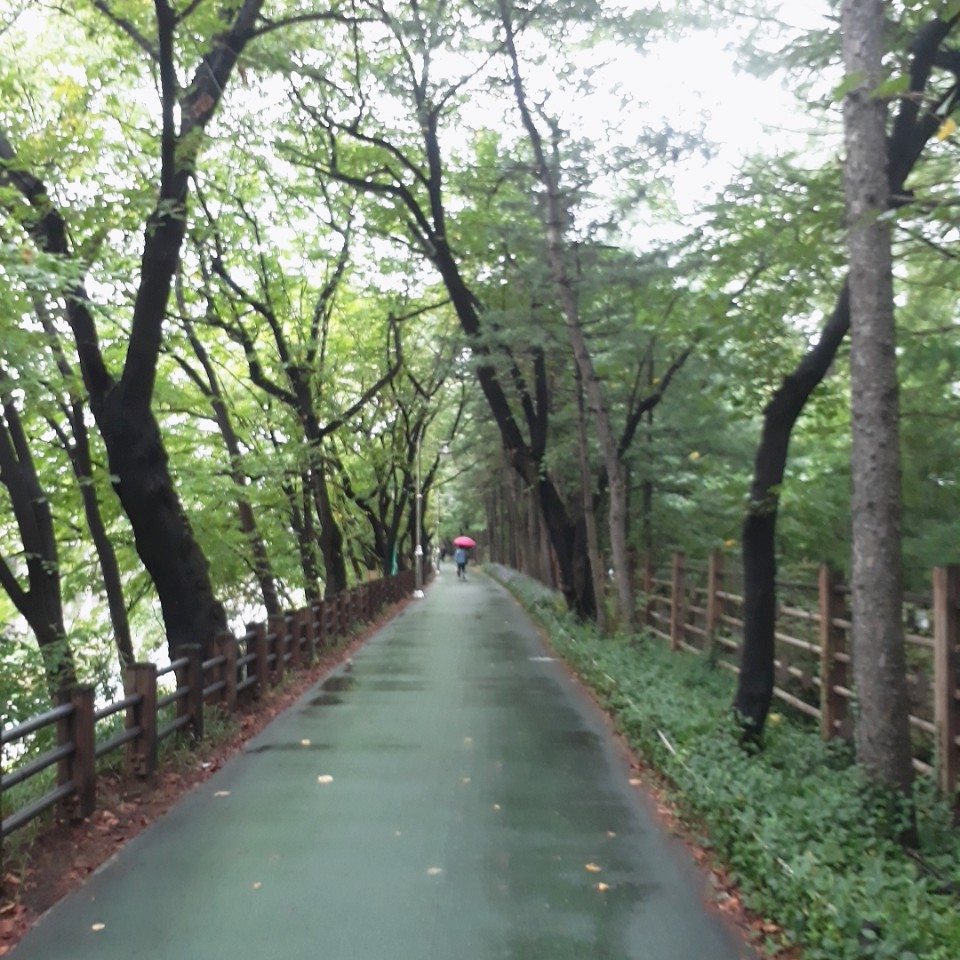 KakaoTalk_20180927_110149325.jpg