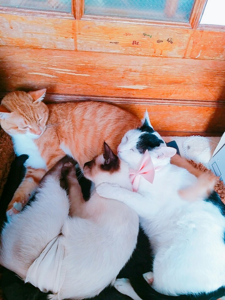KakaoTalk_20181020_155156399.jpg