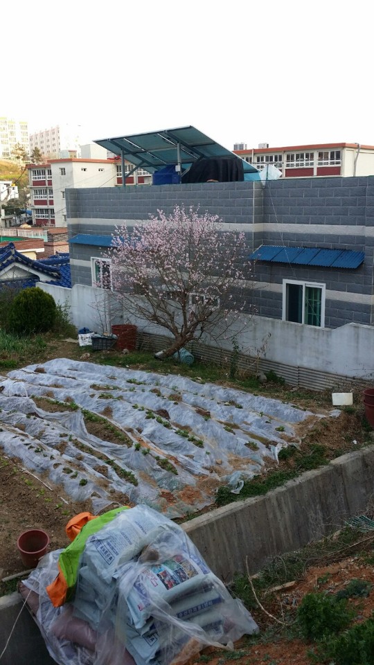 KakaoTalk_20181020_154456894.jpg