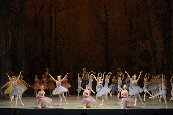 Don Quixote by Valentin Baranovsky ⓒ State Academic Mariinsky Theatre (1).JPG