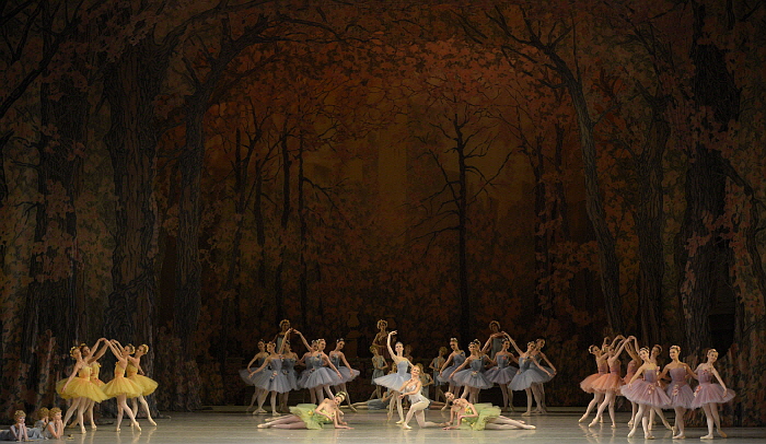 _Don Quixote by Valentin Baranovsky ⓒ State Academic Mariinsky Theatre (3).JPG