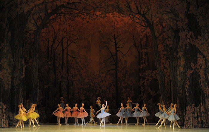 _Don Quixote by Valentin Baranovsky ⓒ State Academic Mariinsky Theatre (4).JPG
