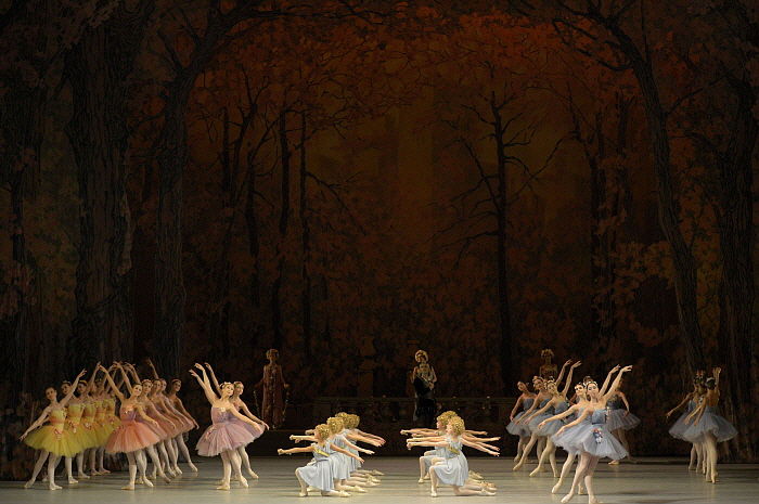 Don Quixote by Valentin Baranovsky ⓒ State Academic Mariinsky Theatre.JPG