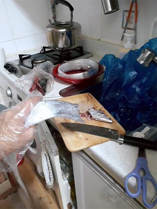 갈치22.jpg