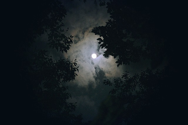 moon-1180345_640.jpg