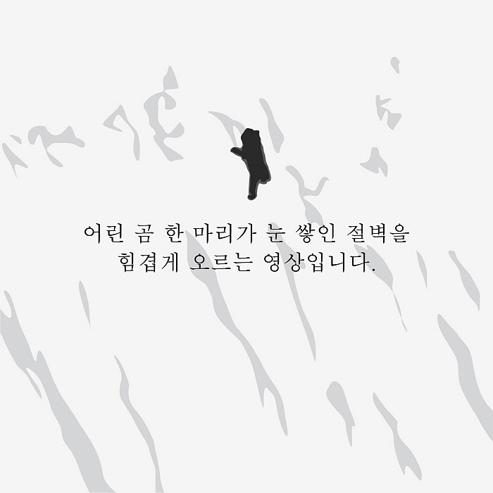 작은곰_카드뉴스_02.jpg