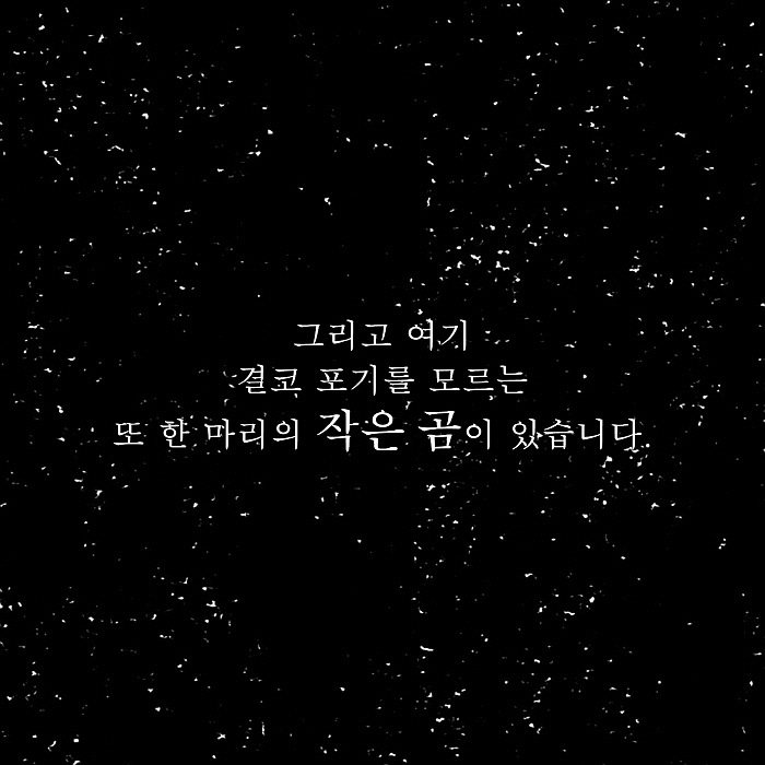 작은곰_카드뉴스_04.jpg