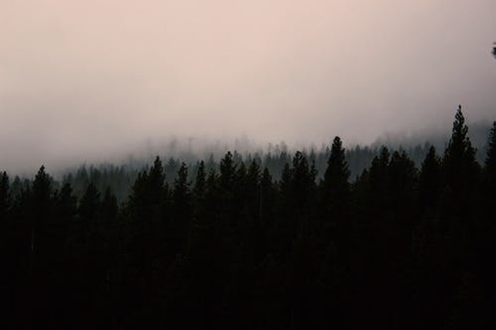 크기변환_pexels-photo-1096958.jpeg
