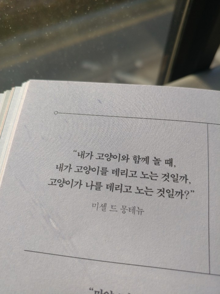 KakaoTalk_20190121_172008799.jpg