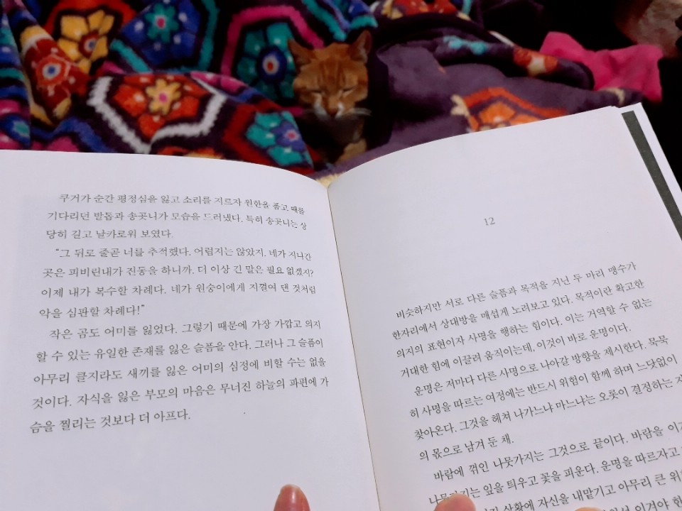 KakaoTalk_20190108_211934793.jpg