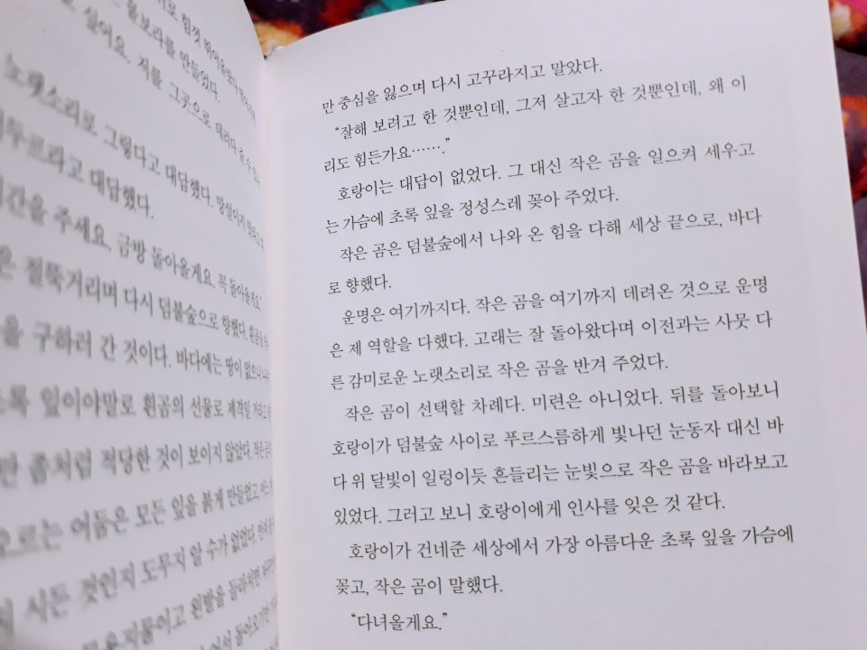 KakaoTalk_20190108_211933629.jpg