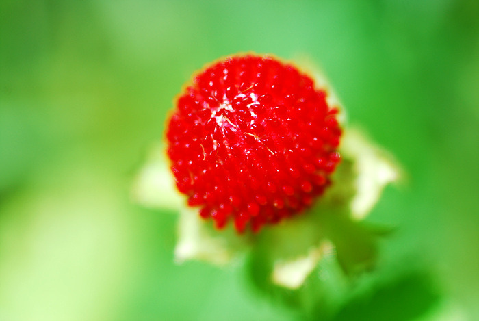 214C1B4A53993ABC21.jpg