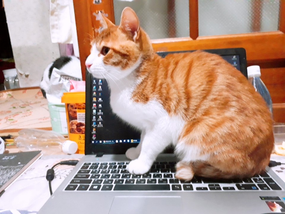 KakaoTalk_20190108_235019753.jpg