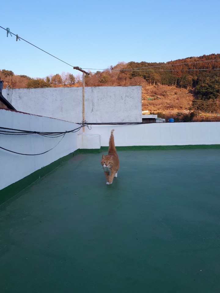 KakaoTalk_20190121_222551644.jpg