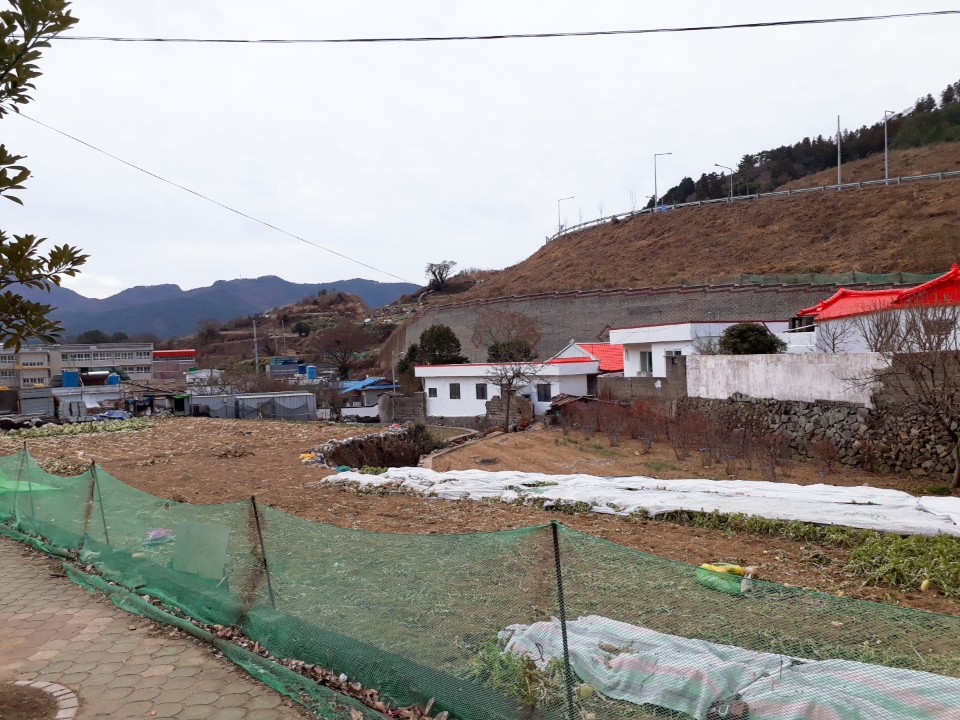 KakaoTalk_20190121_223035392.jpg