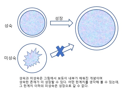 성숙과 미성숙 그리고 성장의 개념.jpg