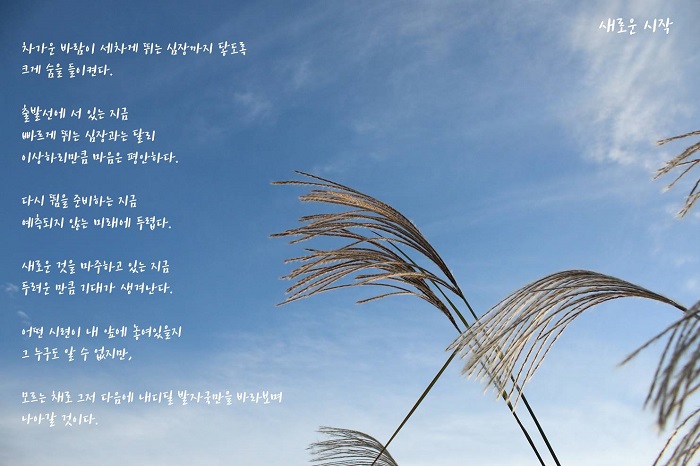 그림1.jpg