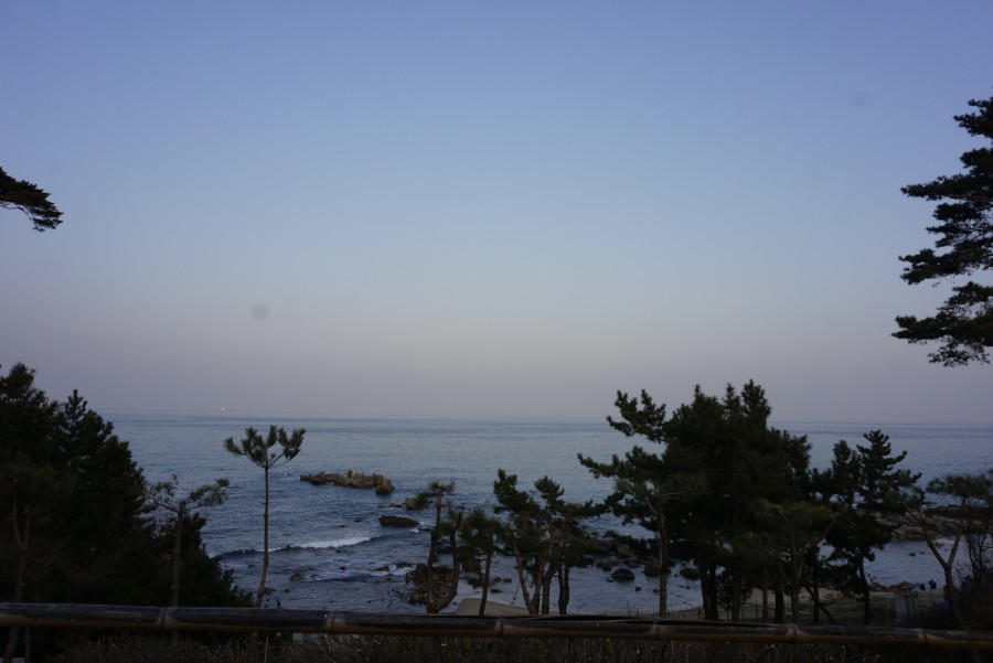 크기변환__DSC0158.jpg