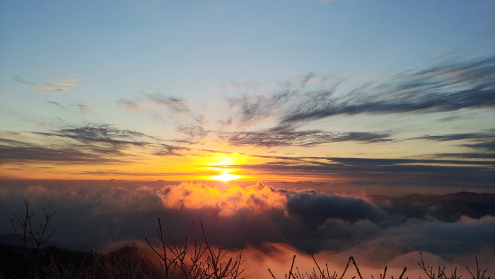 _KakaoTalk_20190103_002208147.jpg