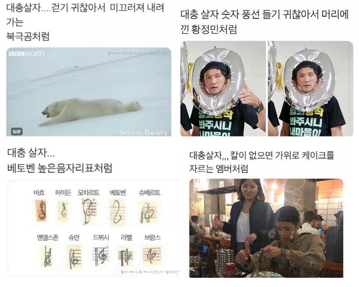 대충살자 묶음.jpg