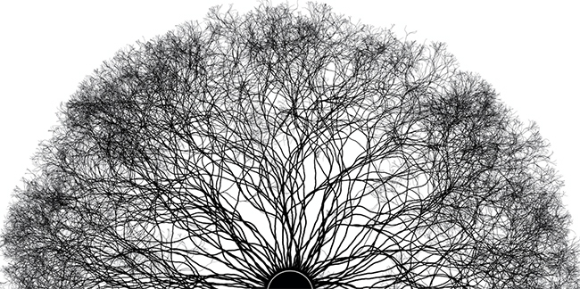 generative.jpg