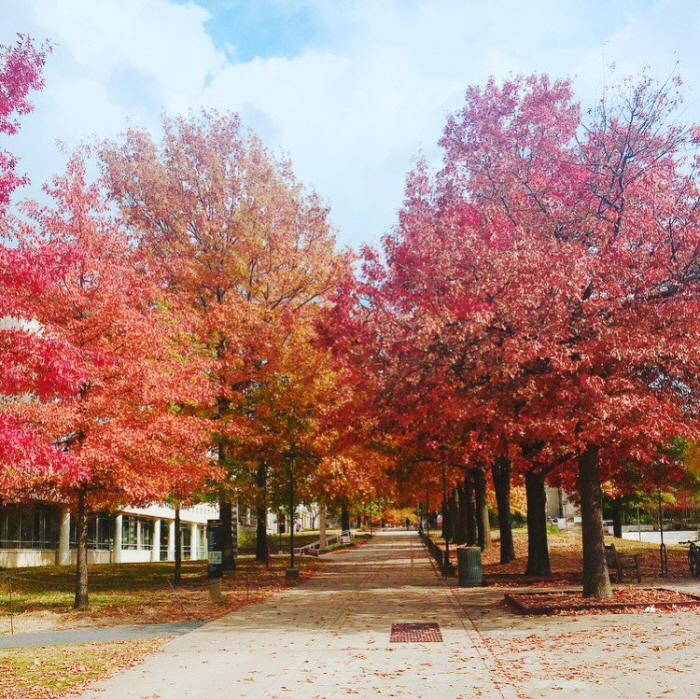 크기변환_1fall.jpg