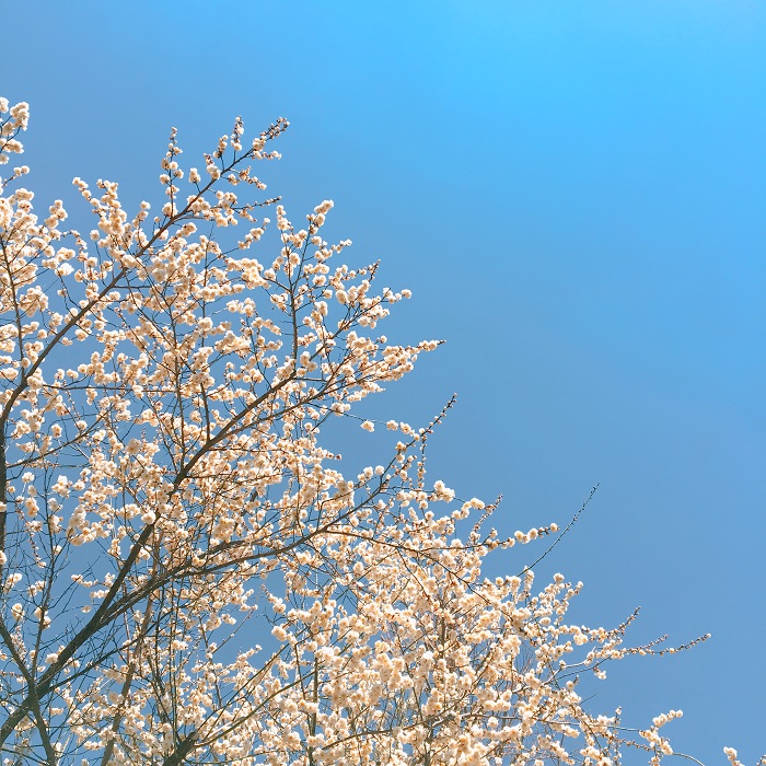 KakaoTalk_20190331_225843032.jpg