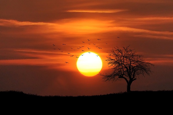 sunset-742744_960_720.jpg