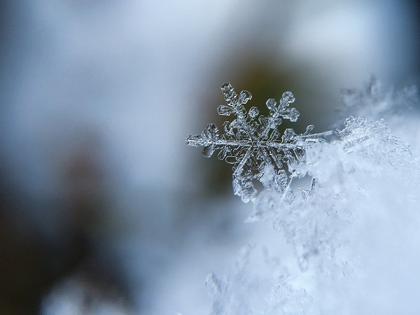 snowflake-1245748_960_720.jpg