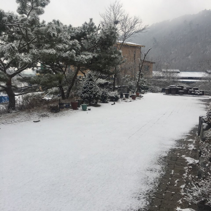 KakaoTalk_20190314_214327369.jpg